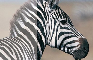 M&agrave;n h&igrave;nh m&aacute;y t&iacute;nh Dell UZ2315H c&oacute; độ s&aacute;ng cao